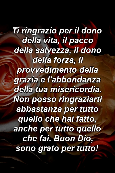 Ti ringrazio per il dono della vita, il pacco della salvezza, il dono della forza, il provvedimento della grazia e l