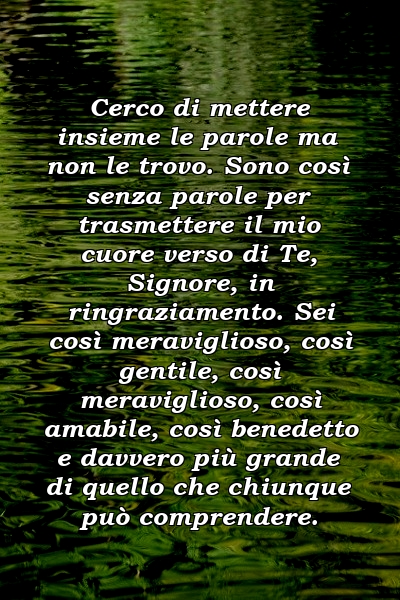 Cerco di mettere insieme le parole ma non le trovo. Sono così senza parole per trasmettere il mio cuore verso di Te, Signore, in ringraziamento. Sei così meraviglioso, così gentile, così meraviglioso, così amabile, così benedetto e davvero più grande di quello che chiunque può comprendere.