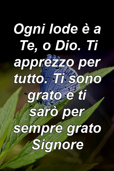 Ogni lode è a Te, o Dio. Ti apprezzo per tutto. Ti sono grato e ti sarò per sempre grato Signore