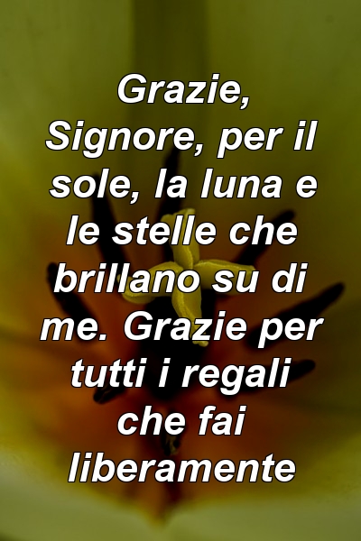 Grazie, Signore, per il sole, la luna e le stelle che brillano su di me. Grazie per tutti i regali che fai liberamente