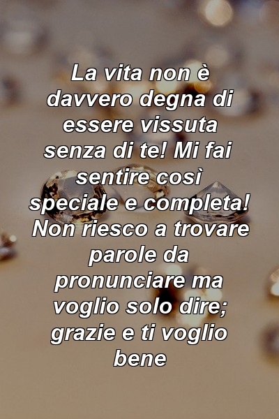 La vita non è davvero degna di essere vissuta senza di te! Mi fai sentire così speciale e completa! Non riesco a trovare parole da pronunciare ma voglio solo dire; grazie e ti voglio bene