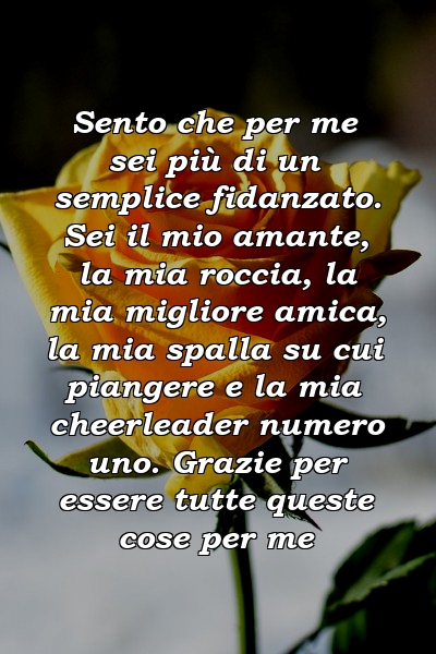 Sento che per me sei più di un semplice fidanzato. Sei il mio amante, la mia roccia, la mia migliore amica, la mia spalla su cui piangere e la mia cheerleader numero uno. Grazie per essere tutte queste cose per me