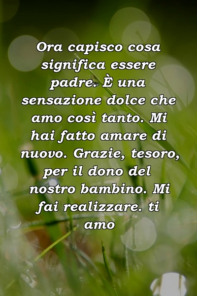 Ora capisco cosa significa essere padre. È una sensazione dolce che amo così tanto. Mi hai fatto amare di nuovo. Grazie, tesoro, per il dono del nostro bambino. Mi fai realizzare. ti amo