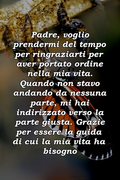 Padre, voglio prendermi del tempo per ringraziarti per aver portato ordine nella mia vita. Quando non stavo andando da nessuna parte, mi hai indirizzato verso la parte giusta. Grazie per essere la guida di cui la mia vita ha bisogno