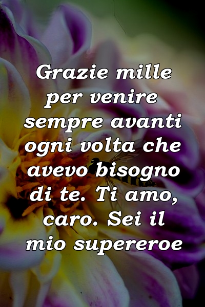 Grazie mille per venire sempre avanti ogni volta che avevo bisogno di te. Ti amo, caro. Sei il mio supereroe