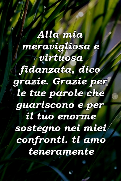 Alla mia meravigliosa e virtuosa fidanzata, dico grazie. Grazie per le tue parole che guariscono e per il tuo enorme sostegno nei miei confronti. ti amo teneramente