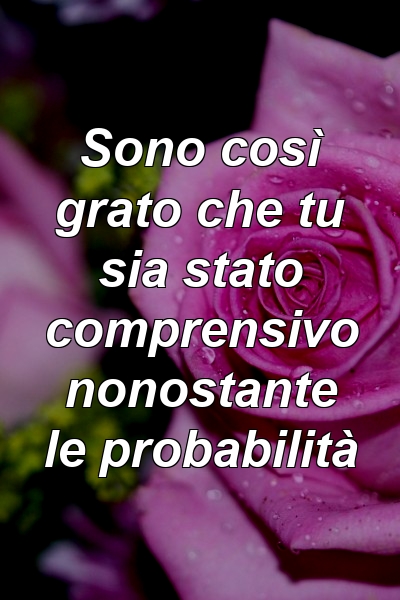 Sono così grato che tu sia stato comprensivo nonostante le probabilità