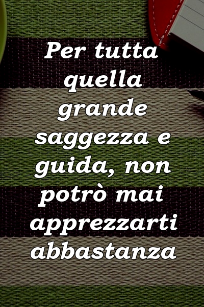 Per tutta quella grande saggezza e guida, non potrò mai apprezzarti abbastanza