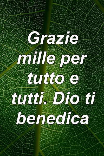 Grazie mille per tutto e tutti. Dio ti benedica