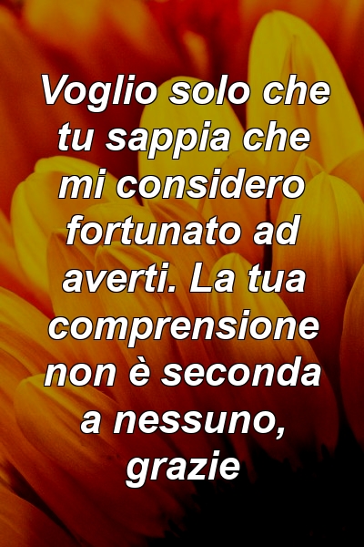 Voglio solo che tu sappia che mi considero fortunato ad averti. La tua comprensione non è seconda a nessuno, grazie