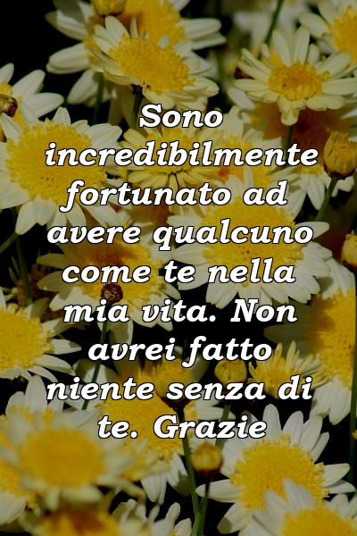 Sono incredibilmente fortunato ad avere qualcuno come te nella mia vita. Non avrei fatto niente senza di te. Grazie