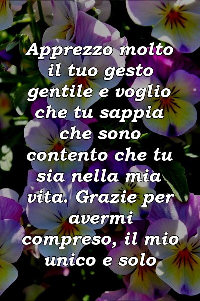 Apprezzo molto il tuo gesto gentile e voglio che tu sappia che sono contento che tu sia nella mia vita. Grazie per avermi compreso, il mio unico e solo