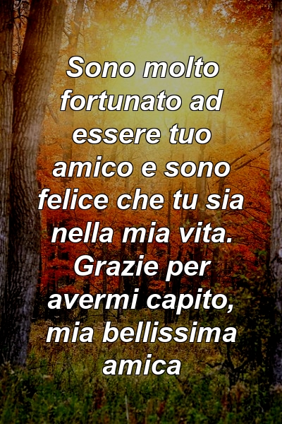 Sono molto fortunato ad essere tuo amico e sono felice che tu sia nella mia vita. Grazie per avermi capito, mia bellissima amica