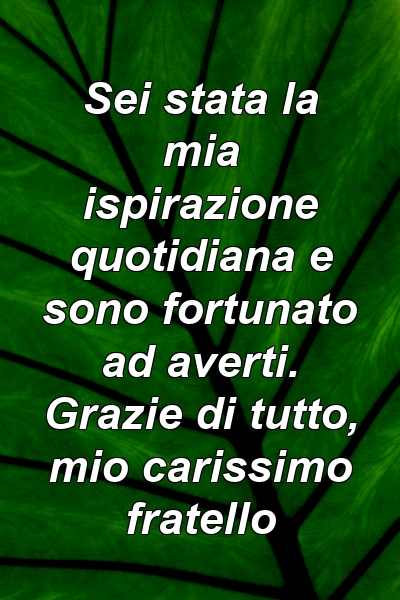 Sei stata la mia ispirazione quotidiana e sono fortunato ad averti. Grazie di tutto, mio ​​carissimo fratello