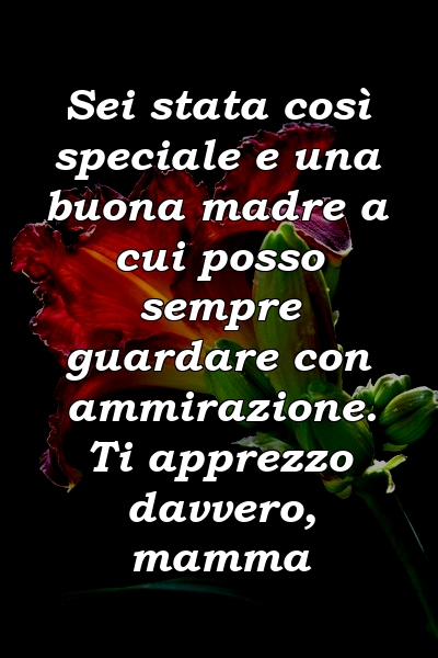 Sei stata così speciale e una buona madre a cui posso sempre guardare con ammirazione. Ti apprezzo davvero, mamma