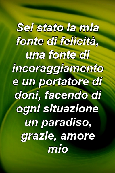 Sei stato la mia fonte di felicità, una fonte di incoraggiamento e un portatore di doni, facendo di ogni situazione un paradiso, grazie, amore mio