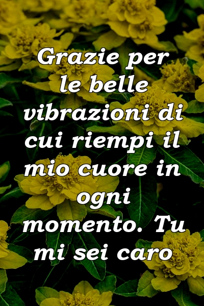 Grazie per le belle vibrazioni di cui riempi il mio cuore in ogni momento. Tu mi sei caro