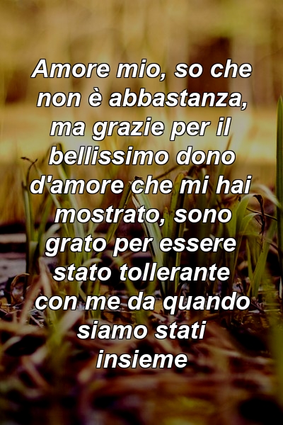 Amore mio, so che non è abbastanza, ma grazie per il bellissimo dono d