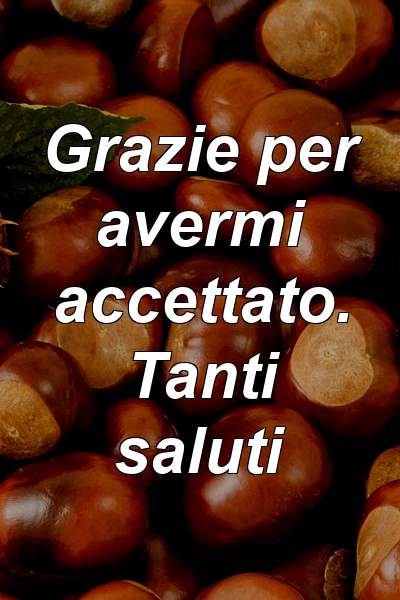 Grazie per avermi accettato. Tanti saluti