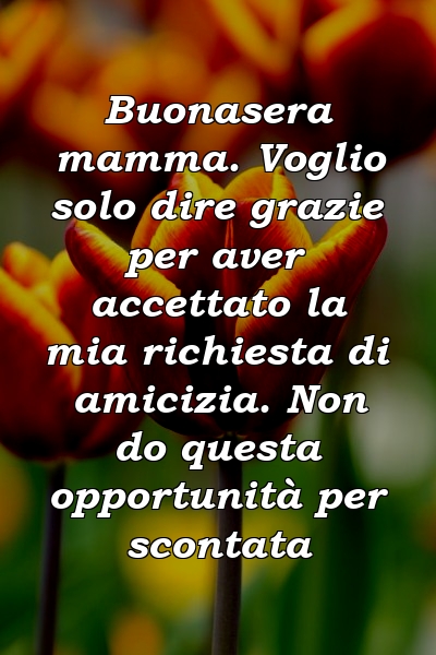 Buonasera mamma. Voglio solo dire grazie per aver accettato la mia richiesta di amicizia. Non do questa opportunità per scontata