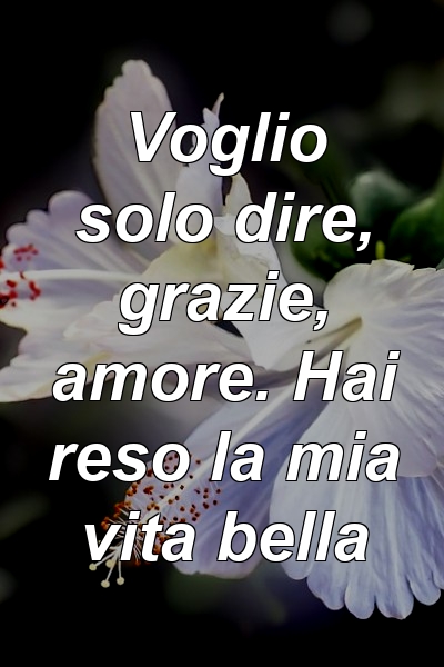 Voglio solo dire, grazie, amore. Hai reso la mia vita bella