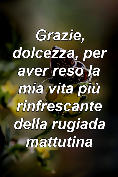 Grazie, dolcezza, per aver reso la mia vita più rinfrescante della rugiada mattutina