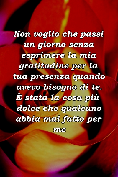 Non voglio che passi un giorno senza esprimere la mia gratitudine per la tua presenza quando avevo bisogno di te. È stata la cosa più dolce che qualcuno abbia mai fatto per me