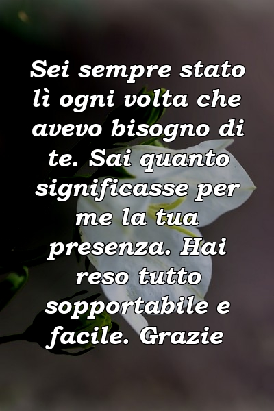 Sei sempre stato lì ogni volta che avevo bisogno di te. Sai quanto significasse per me la tua presenza. Hai reso tutto sopportabile e facile. Grazie