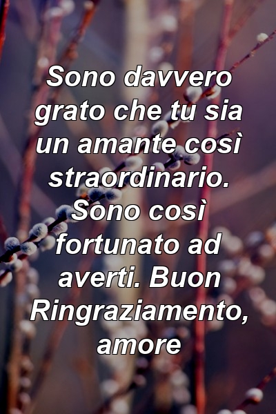 Sono davvero grato che tu sia un amante così straordinario. Sono così fortunato ad averti. Buon Ringraziamento, amore