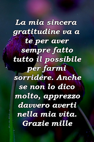 La mia sincera gratitudine va a te per aver sempre fatto tutto il possibile per farmi sorridere. Anche se non lo dico molto, apprezzo davvero averti nella mia vita. Grazie mille