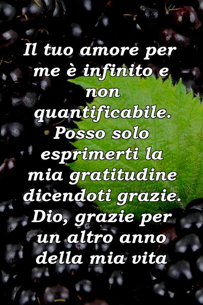 Il tuo amore per me è infinito e non quantificabile. Posso solo esprimerti la mia gratitudine dicendoti grazie. Dio, grazie per un altro anno della mia vita