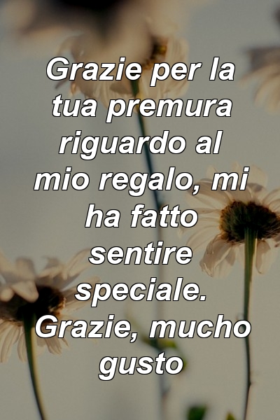 Grazie per la tua premura riguardo al mio regalo, mi ha fatto sentire speciale. Grazie, mucho gusto