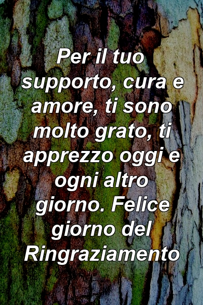 Per il tuo supporto, cura e amore, ti sono molto grato, ti apprezzo oggi e ogni altro giorno. Felice giorno del Ringraziamento