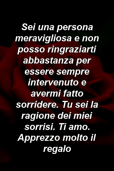 Sei una persona meravigliosa e non posso ringraziarti abbastanza per essere sempre intervenuto e avermi fatto sorridere. Tu sei la ragione dei miei sorrisi. Ti amo. Apprezzo molto il regalo