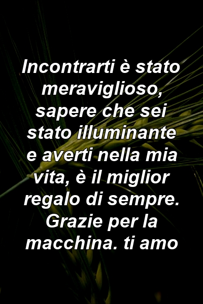 Incontrarti è stato meraviglioso, sapere che sei stato illuminante e averti nella mia vita, è il miglior regalo di sempre. Grazie per la macchina. ti amo