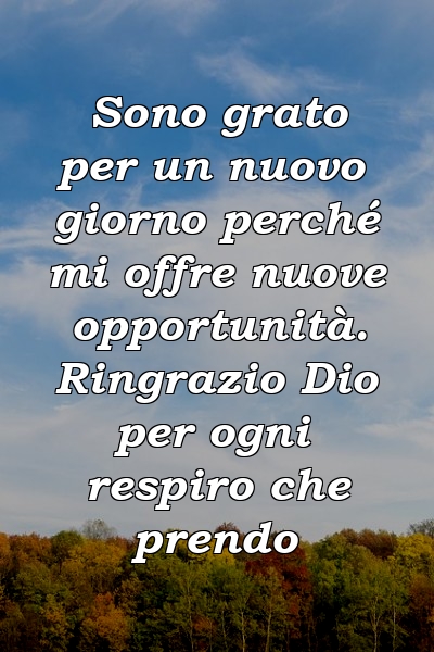 Sono grato per un nuovo giorno perché mi offre nuove opportunità. Ringrazio Dio per ogni respiro che prendo