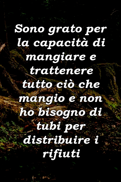 Sono grato per la capacità di mangiare e trattenere tutto ciò che mangio e non ho bisogno di tubi per distribuire i rifiuti