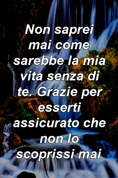 Non saprei mai come sarebbe la mia vita senza di te. Grazie per esserti assicurato che non lo scoprissi mai