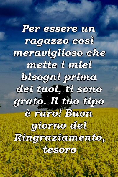 Per essere un ragazzo così meraviglioso che mette i miei bisogni prima dei tuoi, ti sono grato. Il tuo tipo è raro! Buon giorno del Ringraziamento, tesoro