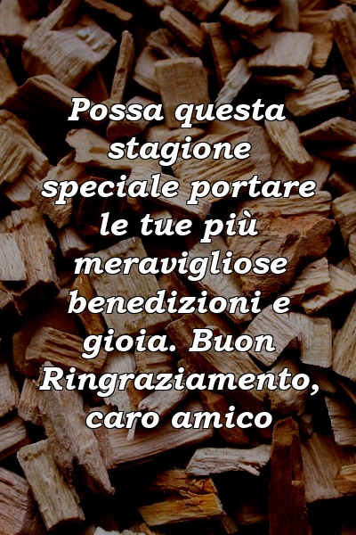 Possa questa stagione speciale portare le tue più meravigliose benedizioni e gioia. Buon Ringraziamento, caro amico