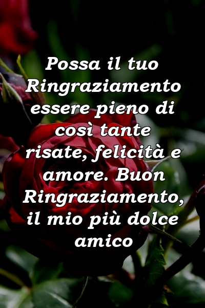 Possa il tuo Ringraziamento essere pieno di così tante risate, felicità e amore. Buon Ringraziamento, il mio più dolce amico