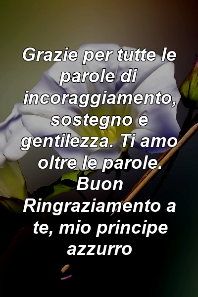 Grazie per tutte le parole di incoraggiamento, sostegno e gentilezza. Ti amo oltre le parole. Buon Ringraziamento a te, mio ​​principe azzurro