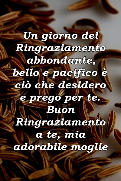 Un giorno del Ringraziamento abbondante, bello e pacifico è ciò che desidero e prego per te. Buon Ringraziamento a te, mia adorabile moglie