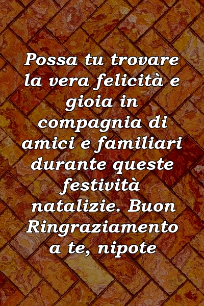 Possa tu trovare la vera felicità e gioia in compagnia di amici e familiari durante queste festività natalizie. Buon Ringraziamento a te, nipote