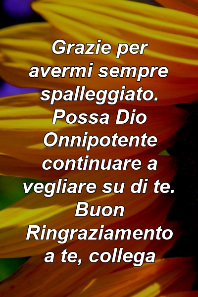 Grazie per avermi sempre spalleggiato. Possa Dio Onnipotente continuare a vegliare su di te. Buon Ringraziamento a te, collega