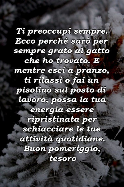 Ti preoccupi sempre. Ecco perché sarò per sempre grato al gatto che ho trovato. E mentre esci a pranzo, ti rilassi o fai un pisolino sul posto di lavoro, possa la tua energia essere ripristinata per schiacciare le tue attività quotidiane. Buon pomeriggio, tesoro