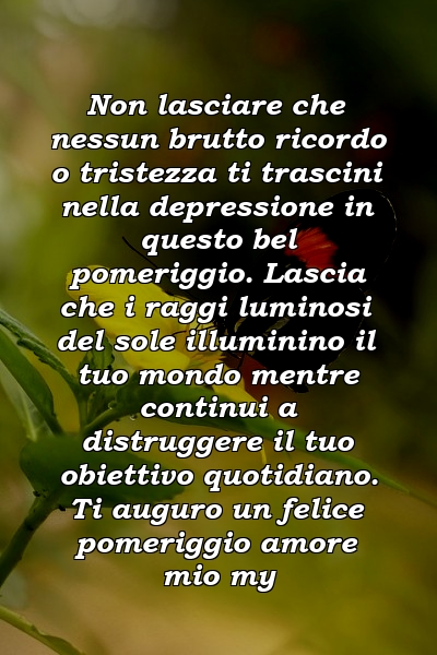 Non lasciare che nessun brutto ricordo o tristezza ti trascini nella depressione in questo bel pomeriggio. Lascia che i raggi luminosi del sole illuminino il tuo mondo mentre continui a distruggere il tuo obiettivo quotidiano. Ti auguro un felice pomeriggio amore mio my