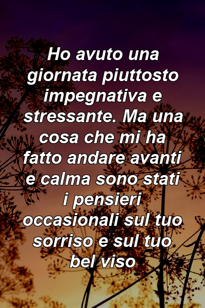 Ho avuto una giornata piuttosto impegnativa e stressante. Ma una cosa che mi ha fatto andare avanti e calma sono stati i pensieri occasionali sul tuo sorriso e sul tuo bel viso