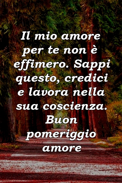 Il mio amore per te non è effimero. Sappi questo, credici e lavora nella sua coscienza. Buon pomeriggio amore