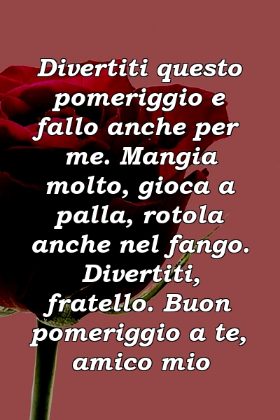 Divertiti questo pomeriggio e fallo anche per me. Mangia molto, gioca a palla, rotola anche nel fango. Divertiti, fratello. Buon pomeriggio a te, amico mio